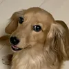Someone