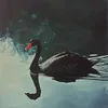 Someone