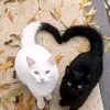Someone