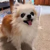 Someone