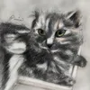 Someone