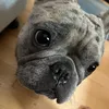 Someone