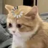 Someone