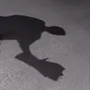 Someone