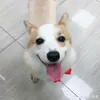 Someone