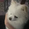 Someone