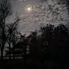 someone