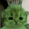 Someone