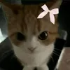 Someone