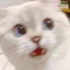 Someone