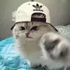 Someone