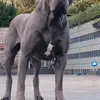 Someone
