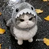 Someone
