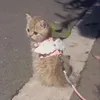 Someone