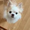 Someone