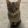 Someone