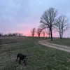 Someone