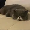 Someone
