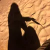 Someone