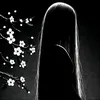 Someone
