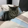 Someone