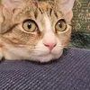 Someone