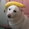 Someone
