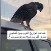 Someone