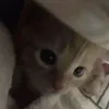 Someone