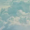 Someone