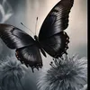 Someone