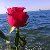 Someone