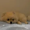 Someone