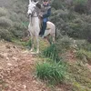 Someone