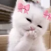 Someone