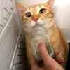 Someone