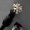 Someone