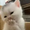 Someone