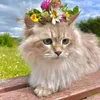 Someone