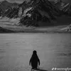 Someone