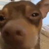 Someone
