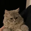 Someone