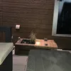 Someone