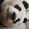 Someone