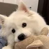 Someone