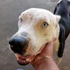 Someone