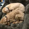 Someone