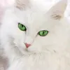 Someone