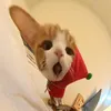 Someone
