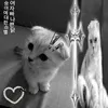 Someone